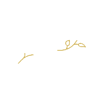 revuclinic Sticker