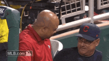reporter terry GIF by MLB