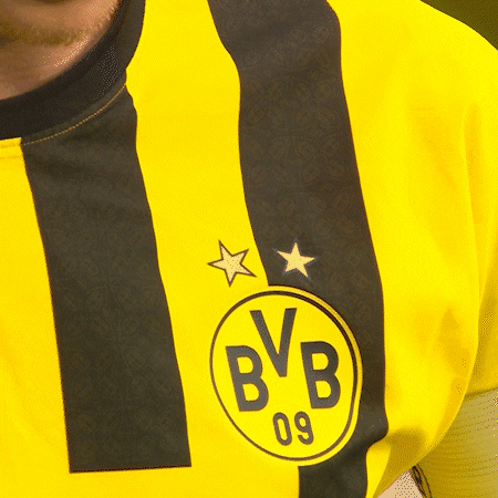 Marco Reus GIF by Borussia Dortmund