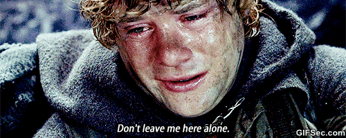 dont leave me here alone lord of the rings GIF