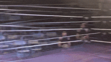 Wrestling Journey GIF