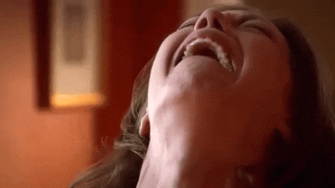 giphy.gif?cid=790b761182884feefdfb36265f205c211cb38ee39c959f98&rid=giphy.gif