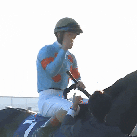Sport Win GIF by World Horse Racing
