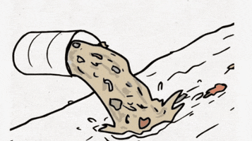 GIF by Pronatura México