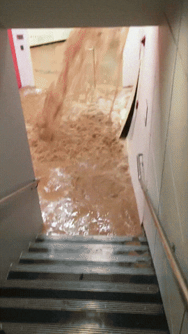 giphy.gif?cid=ecf05e47rjkmnpne7iscmpewmq