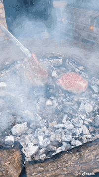 Bbq Meat GIF by Santos Grills GmbH Bbq Meat GIF by Santos Grills GmbH
