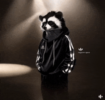 Adidas Skunk GIF by Justin