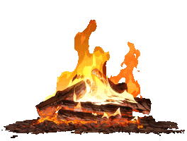 Fire Burn Sticker by The Line Animation
