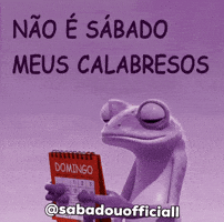 Saturday Sabadou GIF