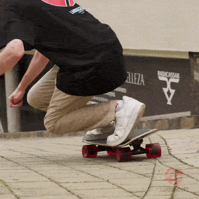 GIF by Landyachtz