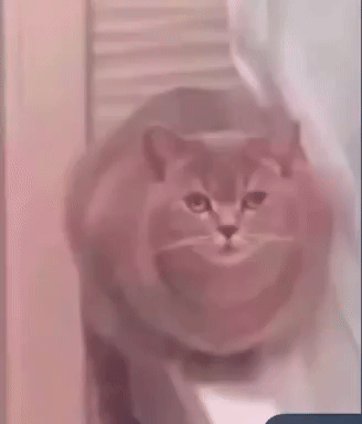Analgin GIF