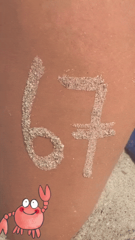 Beach Trends GIF