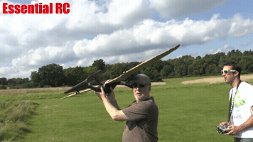 diplodocus  GIF