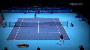 Davydenko GIF