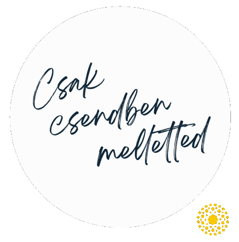 Fesztival Sticker by Csillagpont