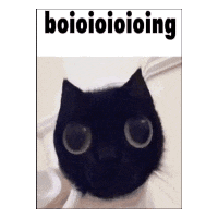 Cat Kitty Sticker