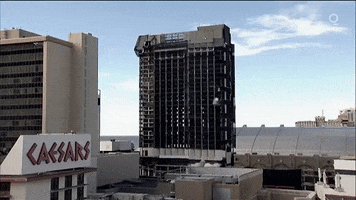Donald Trump GIF