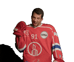 Towers Rapperswil Sticker by eigengrau