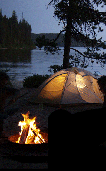 Fire Camp GIF - Find & Share on GIPHY