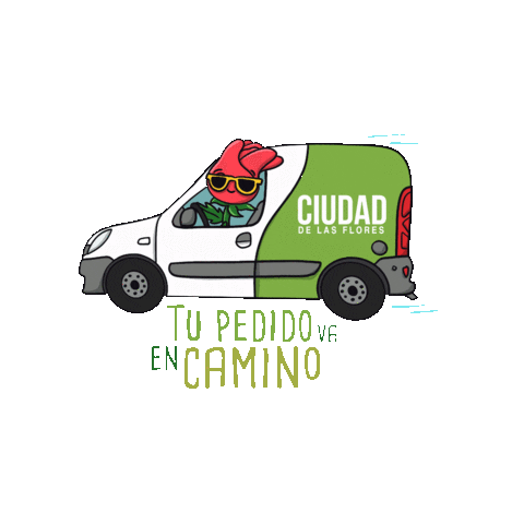Ciudad de las flores Sticker