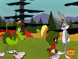 angry bugs bunny GIF by Looney Tunes