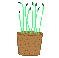 Spring Sticker by Infarm
