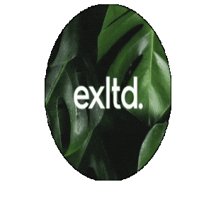 Sticker by Curatedbyyou