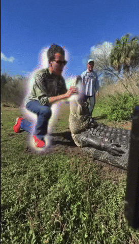 Fishback GIF