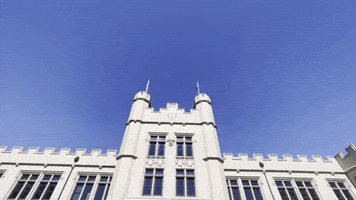 GIF by The College of Wooster