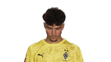 Look Up Borussia Moenchengladbach Sticker by Bundesliga