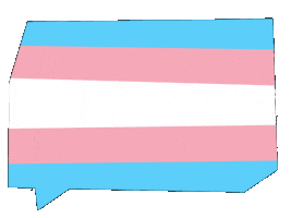 Trans Sticker