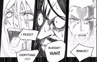 Finale Bankai GIF