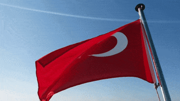 Turkey Flag GIF