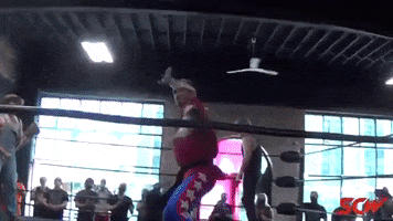Sensei Bock GIF