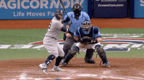 Yankees GIF by Jomboy Media - Find & Share on GIPHY