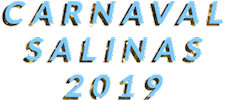 Rio De Janeiro Glitter Sticker by Salinas