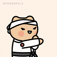 Martial Arts Fighting GIF by WonderPals