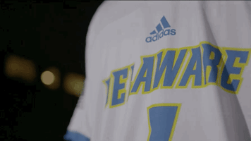 GIF by Delaware Blue Hens