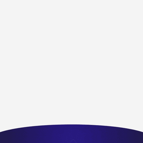 Independants Day Token GIF