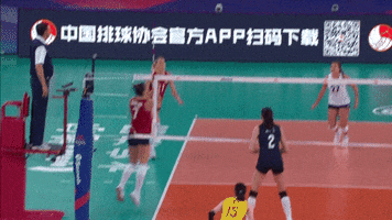 Usa Power GIF by Volleyball World