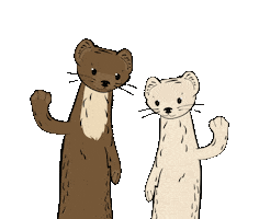 Zoukuny Sticker
