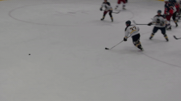 Hokej GIF
