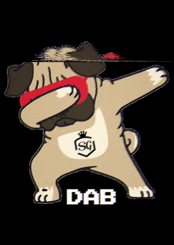 Swagger GIF