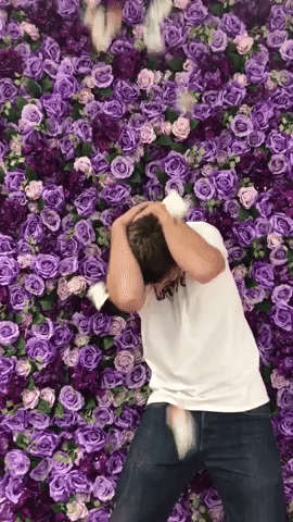 Snacks Brownies GIF by Wheyhey