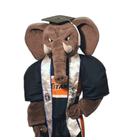 csuf graduation elephant commencement grad cap GIF