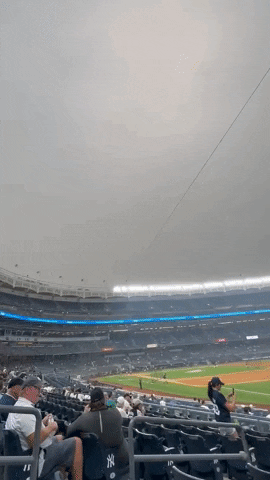 New York City Baseball GIF by Storyful