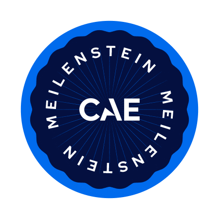 German Deutsch Sticker by CAE