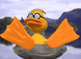 kathleencrouch  GIF