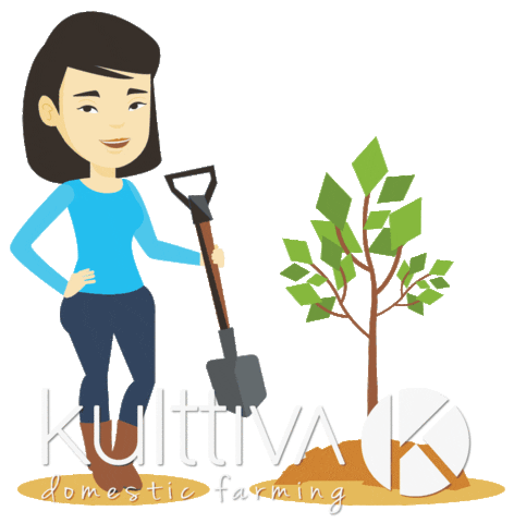 Fruit Planta Sticker by Kulttiva