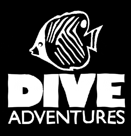 Dive Adventures GIF